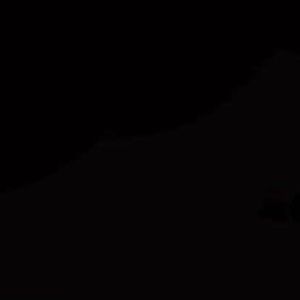 Meet your Posher, Geraldine